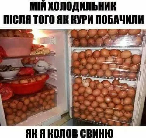 bf3hcb.webp