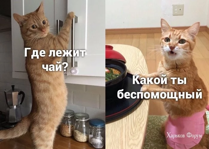 bf53e46b7523b8964b2024.webp