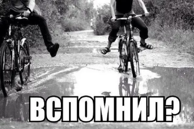 bf5eag.webp