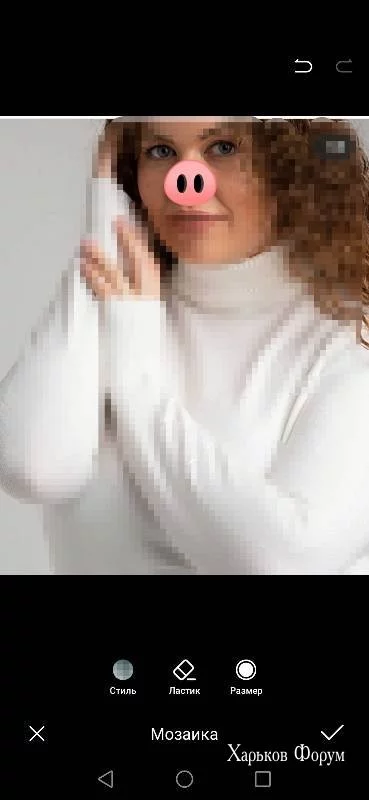 bf64a1a791baa849244.webp