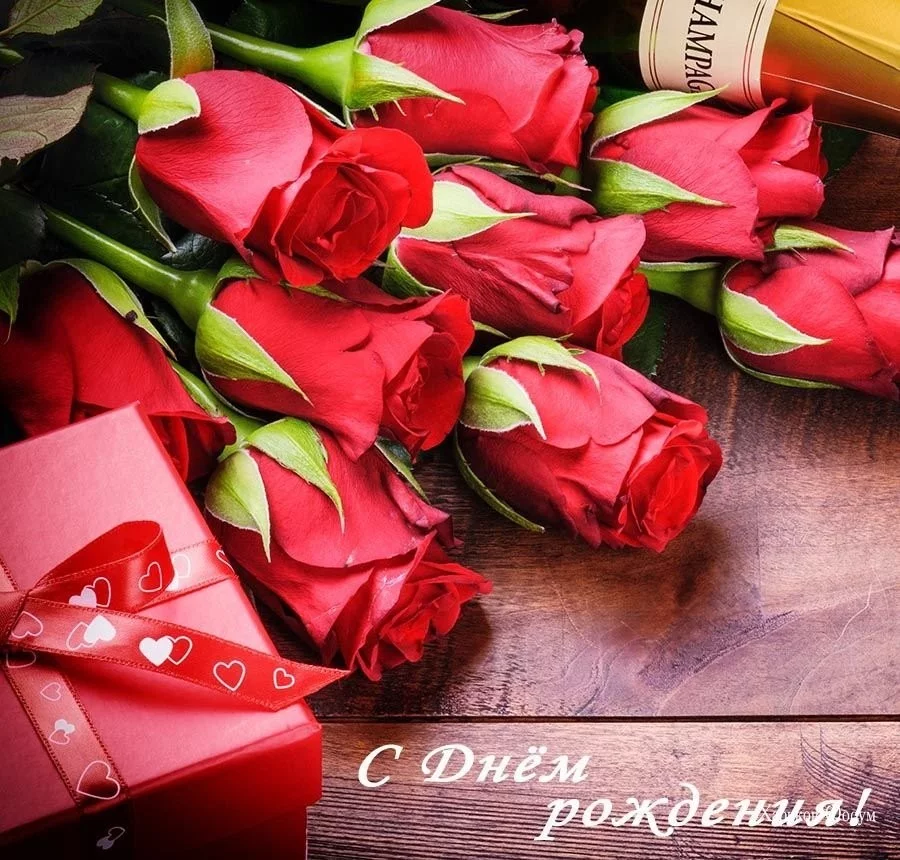 bf6bc590f471fad1da37e8dd.webp