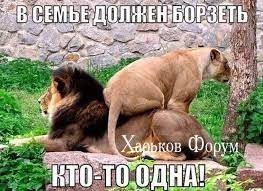 bf6ec0e56f5f3487eef34d3.jpg