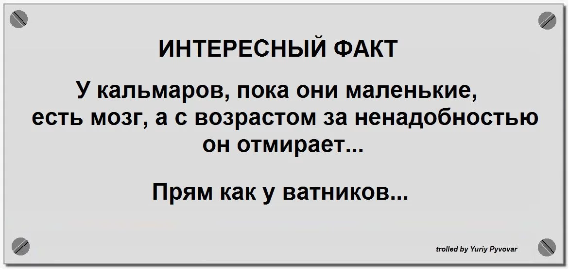bf6gdd.webp