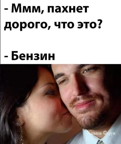 bf9b8ac73b3b3627679f464.webp