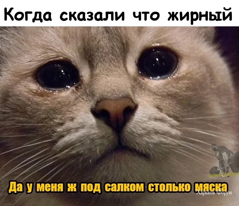 bfaaa13e4fe93dfd7475294.jpg