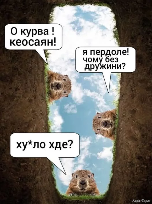 -BfaL19JFHcX3kk&_nc_zt=23&_nc_ht=scontent.fiev25-1.webp