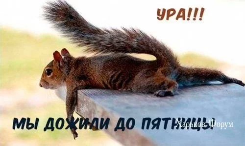bfc3b9b05edb3ac4c3.webp