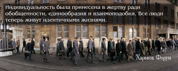 bfc58ae032200e3d8666.webp