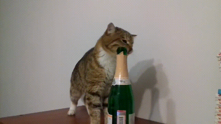 bfd48cbdaaa616a5.gif