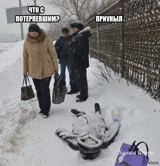 bfdab98395e37ccb550e0c.webp