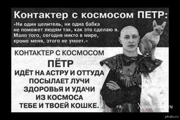 bfde6779ea31b591504fcfec.jpg
