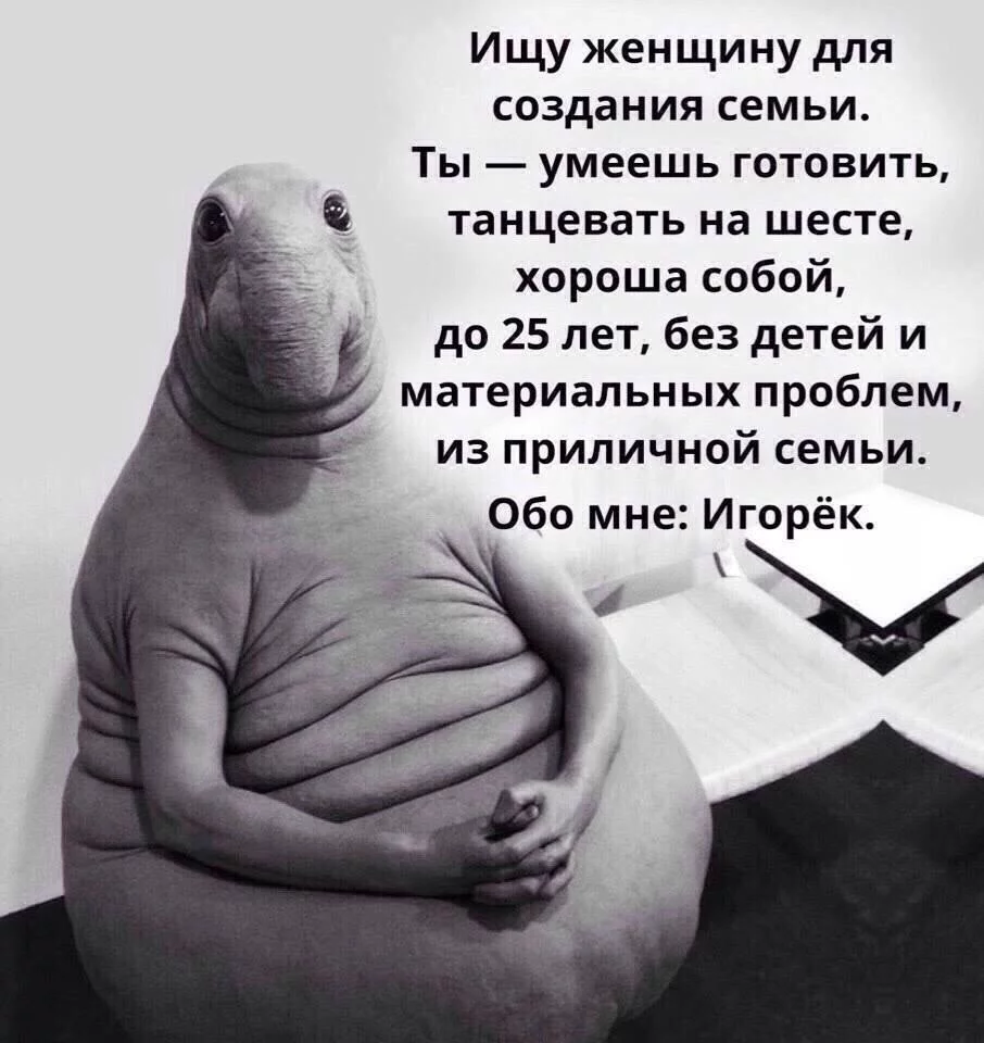 bfdj6g.webp