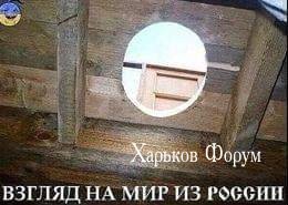 bfe042d215eb7b37feeb.jpg