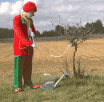 bfe5bf39309d68fd.gif