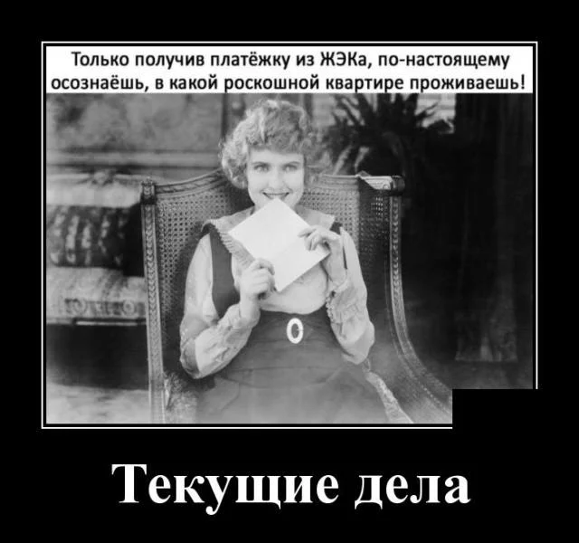 bfe7cd.webp