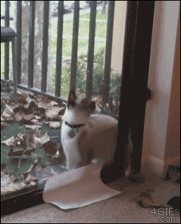 bfea5d74660ed3c1632cda.gif