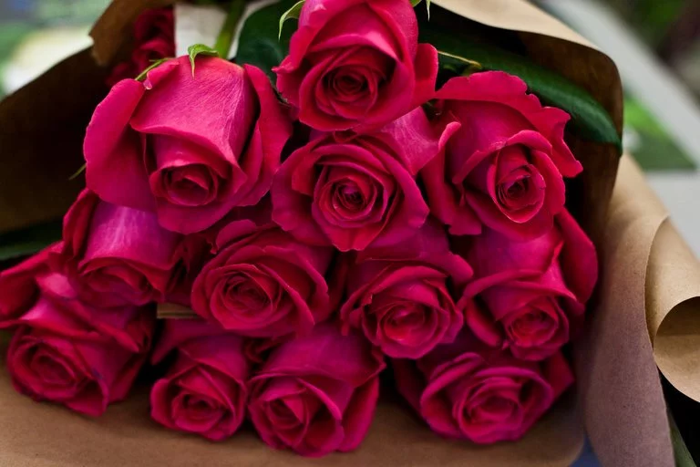 bfee3a.webp