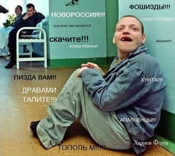 bfef8fa96cede139.webp
