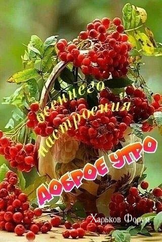 bff9dd4aa322ff5056.jpg