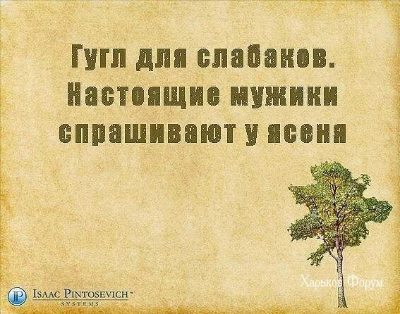 bffc4f0da41dfa0a.webp
