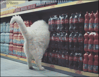 bfffd3.gif