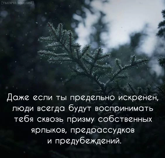 bfh1dh.webp