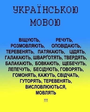 bfjgb7.webp
