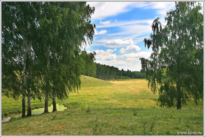 bfoto_ru_132.webp
