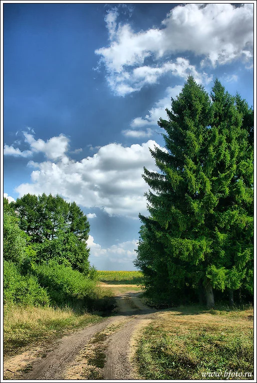 bfoto_ru_142.webp