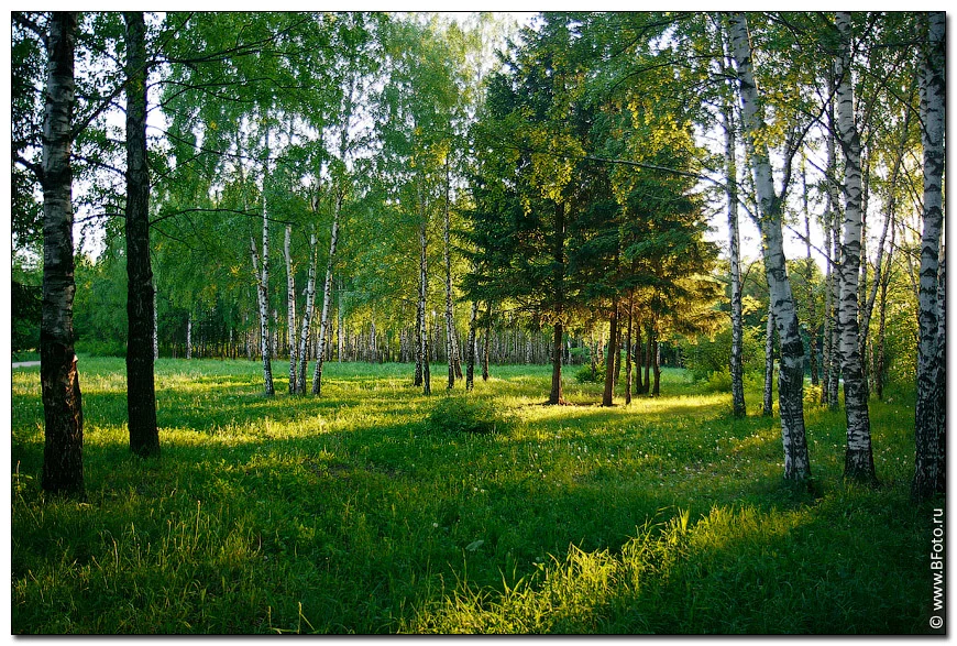bfoto_ru_5.webp