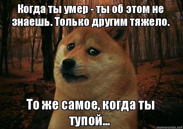 bg0ddd.webp