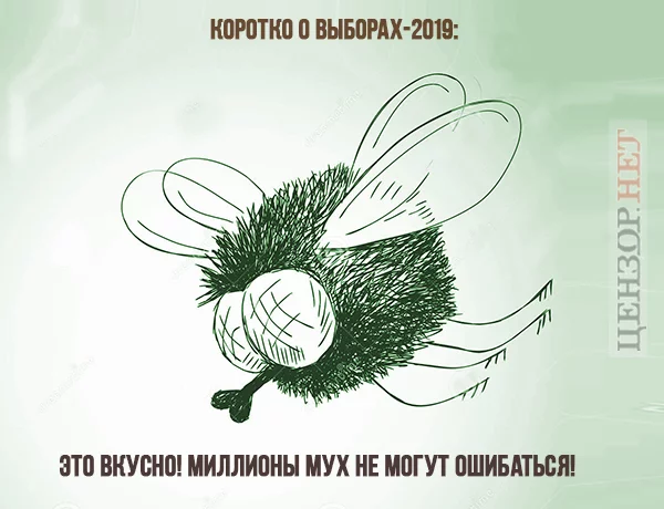 bg1ebj.webp