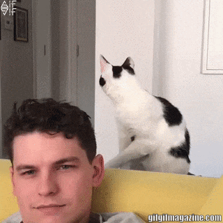bg3bgb.gif