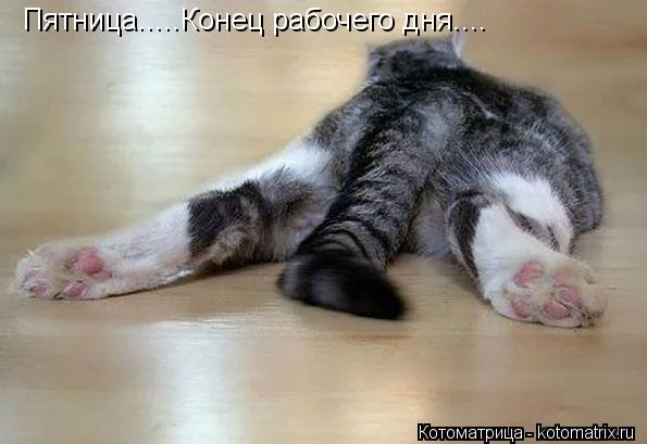 bg3deg.webp