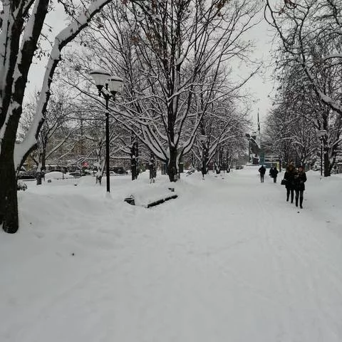 bg4dfe.webp