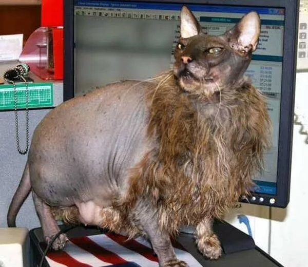 bg6ddh.webp