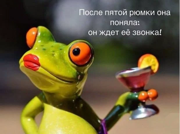 bg7bba.webp