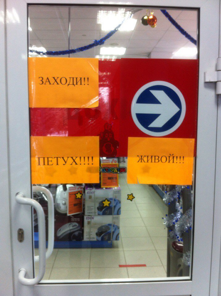 bg7eha.jpg