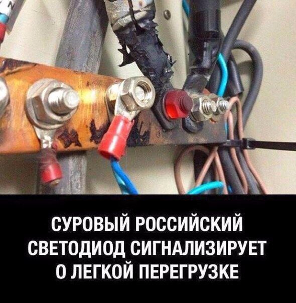 bg8dhj.jpg