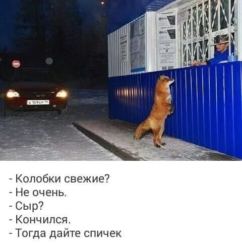 bg8gag.webp