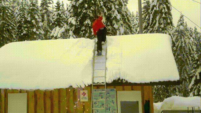 bga0gj.gif