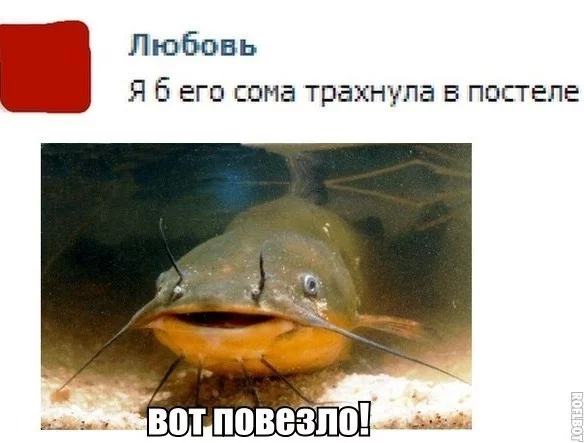 bga1ga.webp