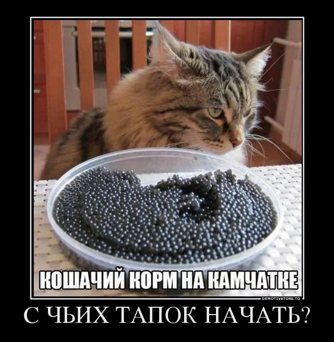 bgacj5.webp