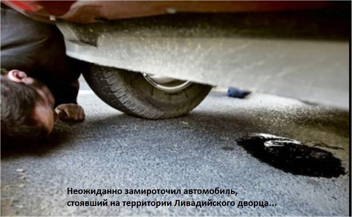 bgaha8.webp