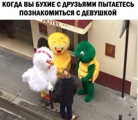 bgajd7.jpg