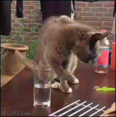 bgccg3.gif