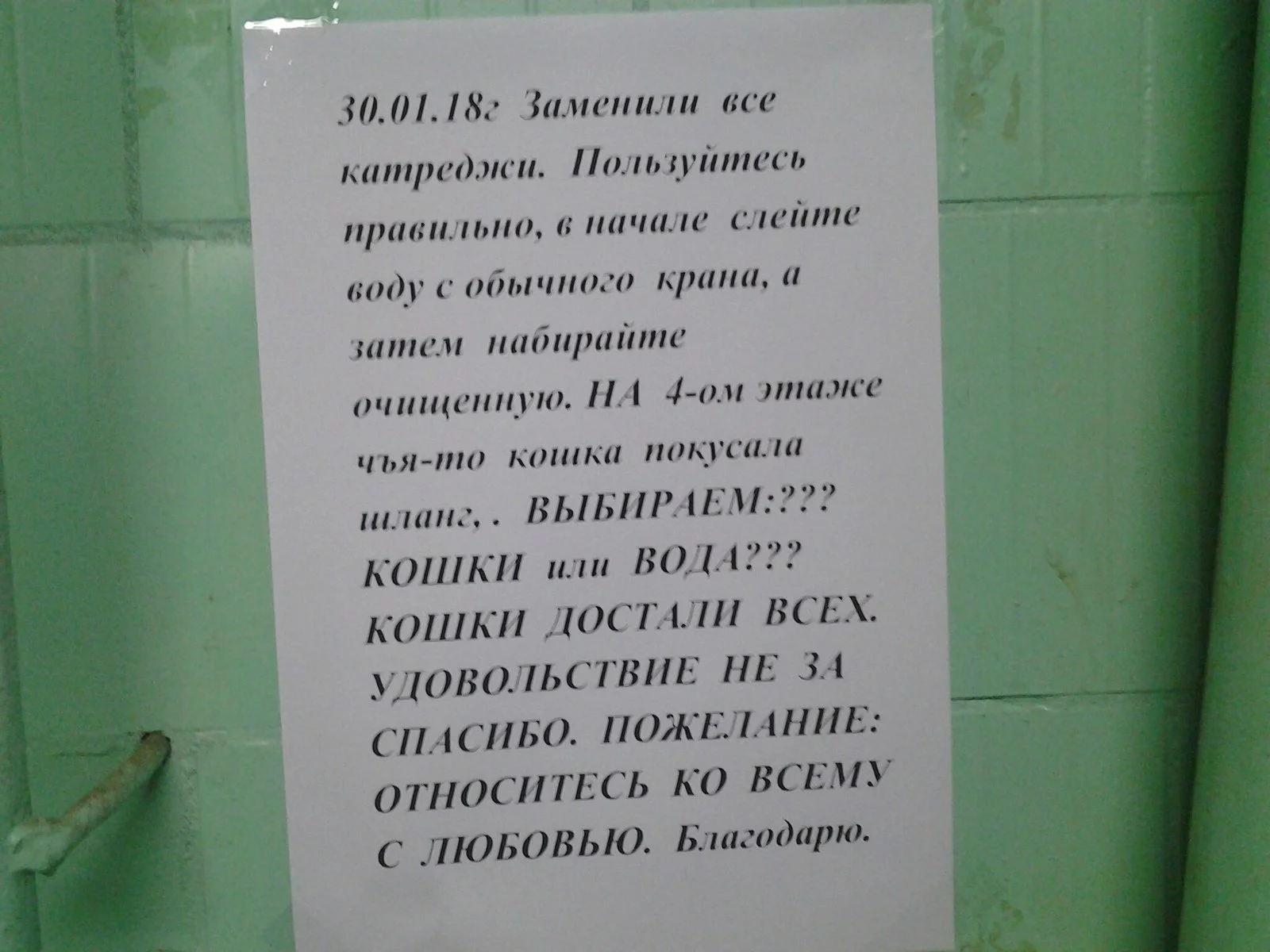 bgdg5c.webp
