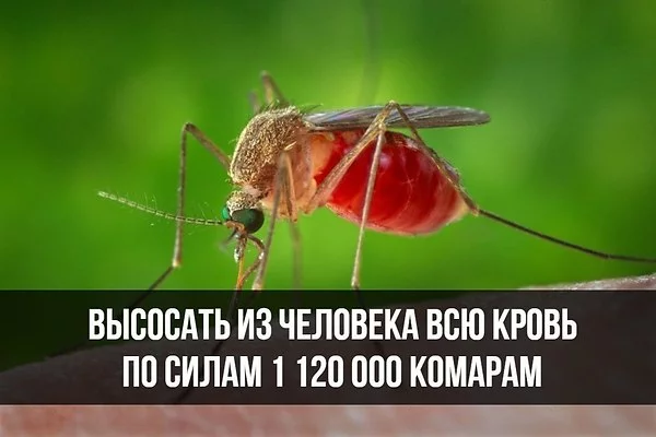 bgdg5j.webp