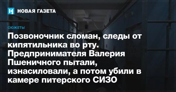 bgdjb6.webp