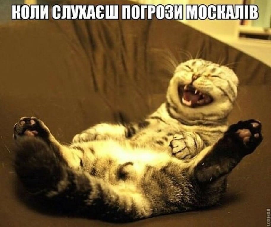 bgeaj9.jpg